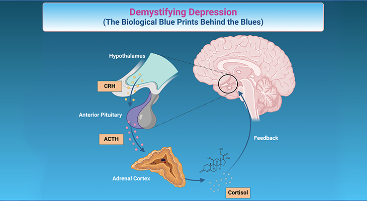 Demystifying Depression - The Biological Blue Prints Behind the Blues